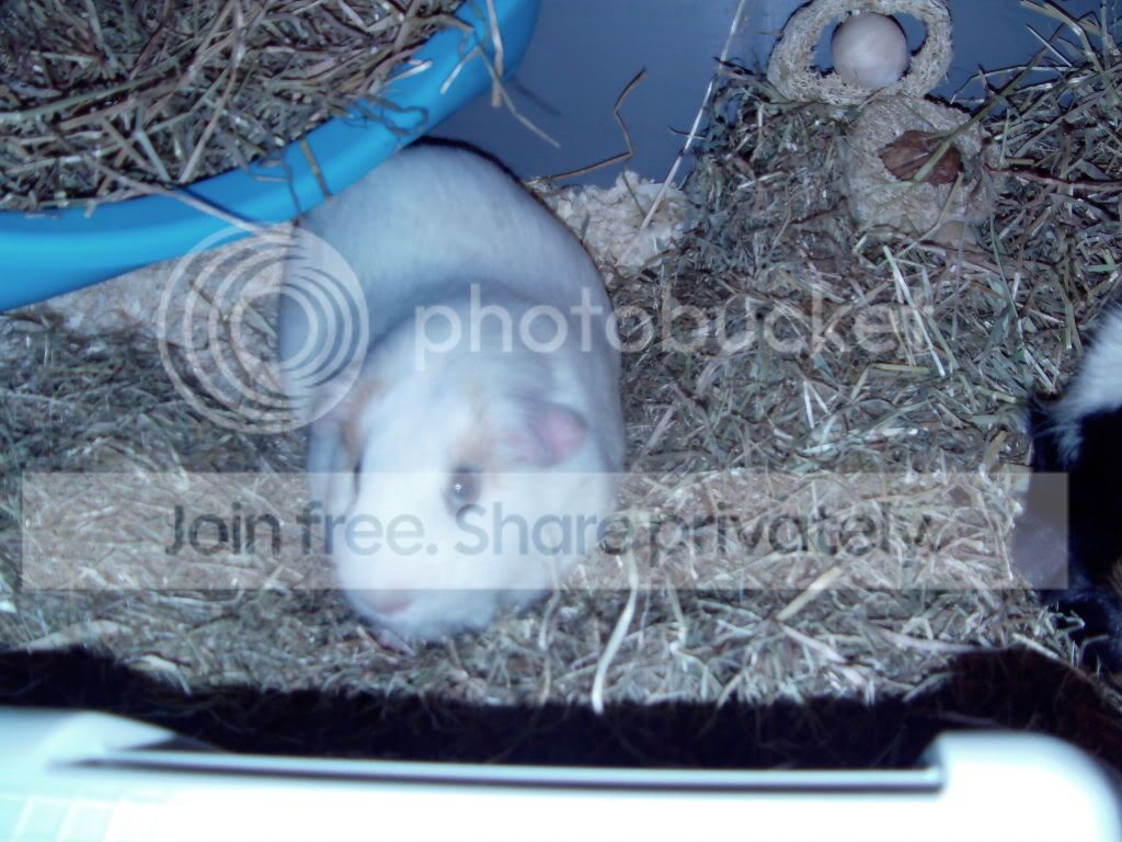 IMAG0005.jpg