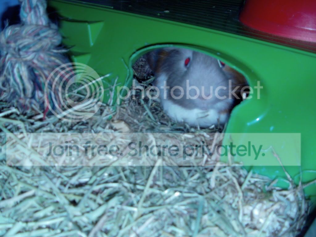 IMAG0007.jpg
