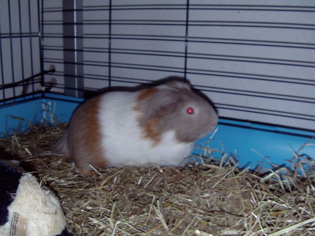IMAG0017.jpg