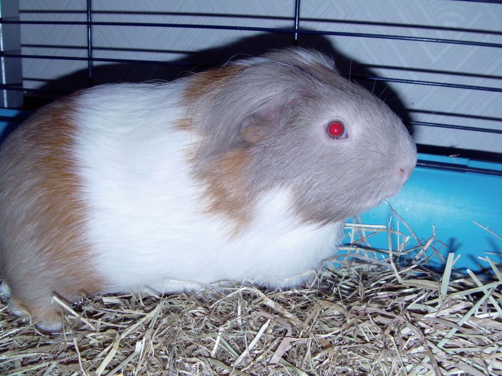 IMAG0018.jpg