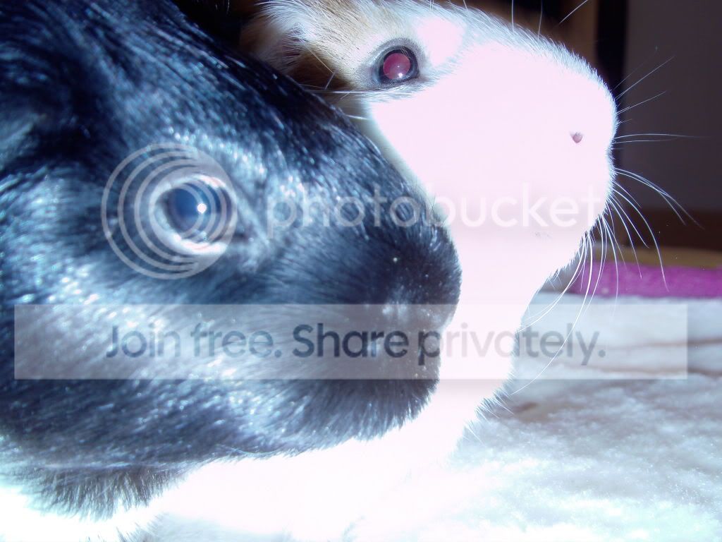 IMAG0042.jpg