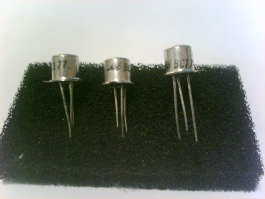 IMG0557A.jpg